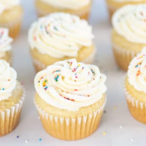 closeup of vegan vanilla cupcake with rainbow sprinkles