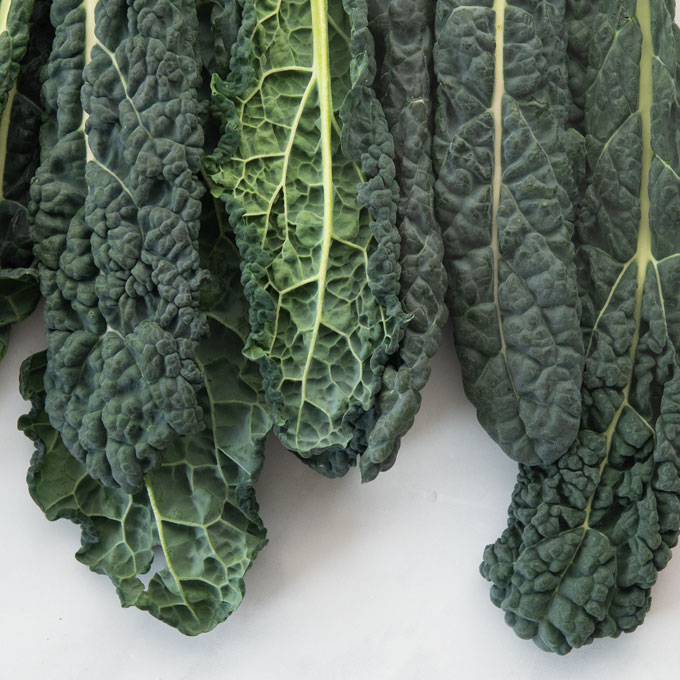 all about kale