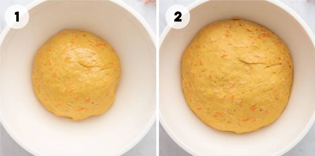 yeast dough rising in bowl before and after